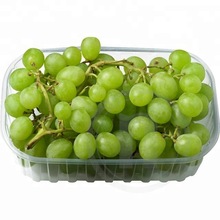JF Common green grapes, Grade : GradeA
