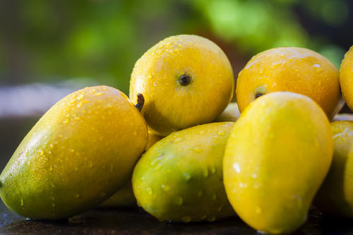 organic kesar mango