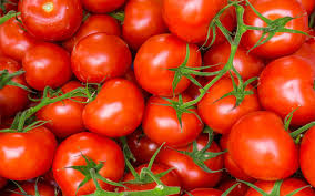 Fresh Red Tomato