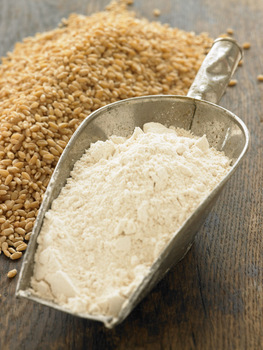 Durum Wheat Flour