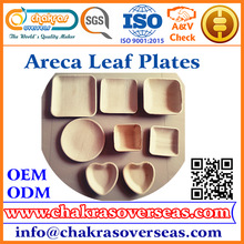 Disposable Areca Leaf Square Bowl