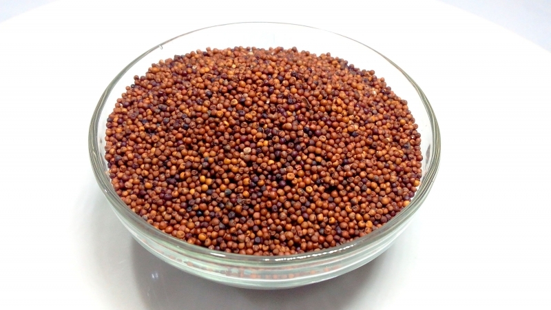 Organic Ragi Millet Seeds, for Cattle Feed, Style : Dried