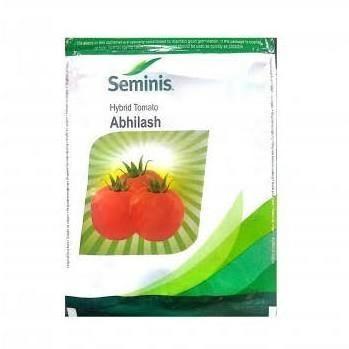 Abhilash Tomato Seeds, Packaging Size : 10-20kg, 20-30kg, 30-40kg, 40-50kg