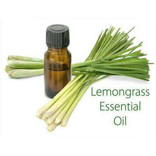 Organic Lemon Grass oil, Form : Liquid