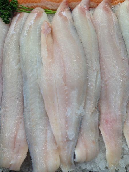 HADDOCK FILLET - FRESH. LOIN AND PORTIONS - FRESH / WHOLE NOW AVAILABLE ROUND THE YEAR