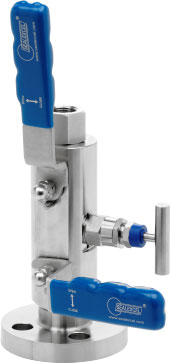 Integral Block and Bleed Valves : Series Dbb31