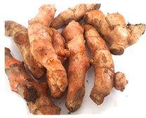 Fresh Turmeric Root