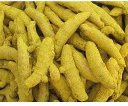 Raw Turmeric Finger