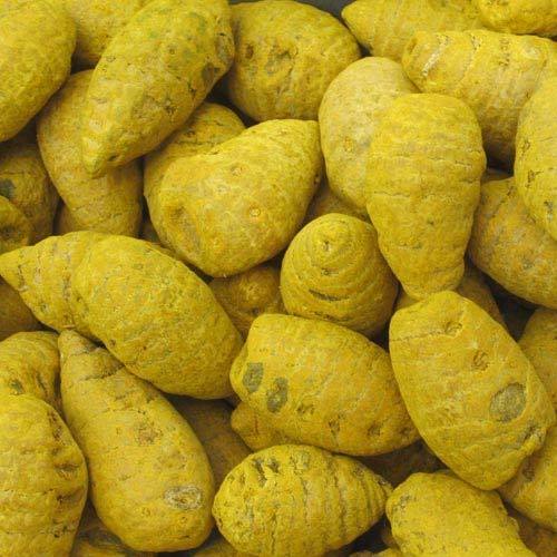Organic Turmeric Bulbs, Color : Yellow