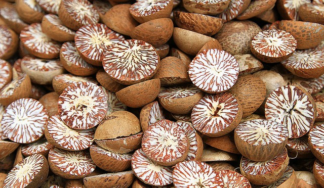 Betel Nut Seed