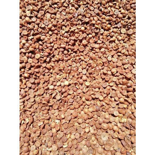 Dried Areca Nuts, Color : Brown