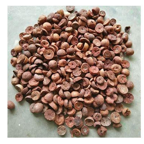 Dried Betel Nut, Color : Brown