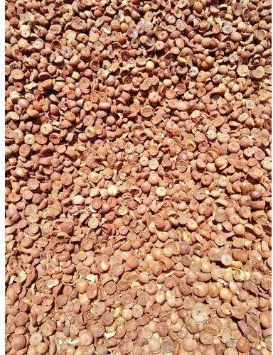 Indian Areca Nut, Color : Brown