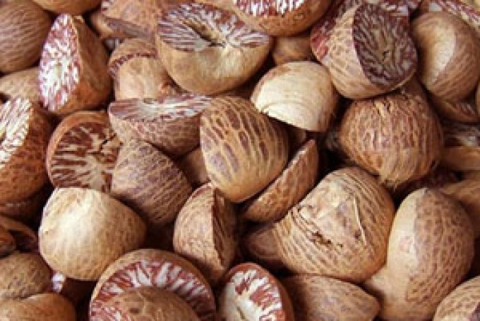 Ovoid Drupe Organic Areca Nuts, Color : Brown