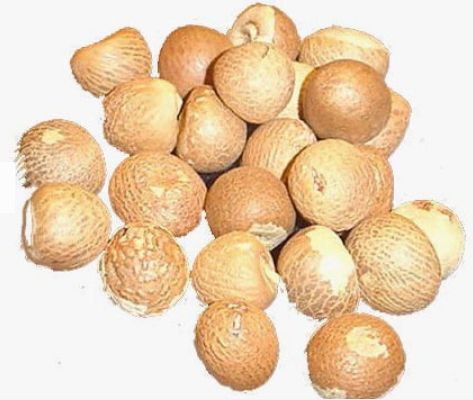 Pure Areca Nuts, Color : Brown