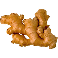 Organic Fresh Ginger, for Cooking, Packaging Type : Gunny Bags, Jute Bags