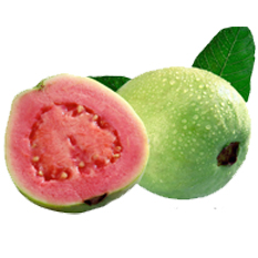 Organic Fresh Guava