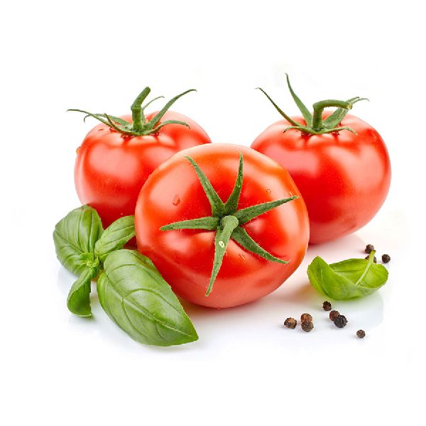 Organic Fresh Tomato, for Cooking, Packaging Type : Plastic Crates