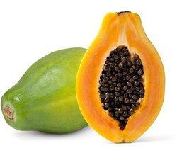 Carica Papaya Plant
