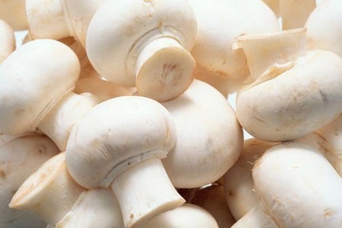 White Button Mushroom, Shelf Life : 3 Months