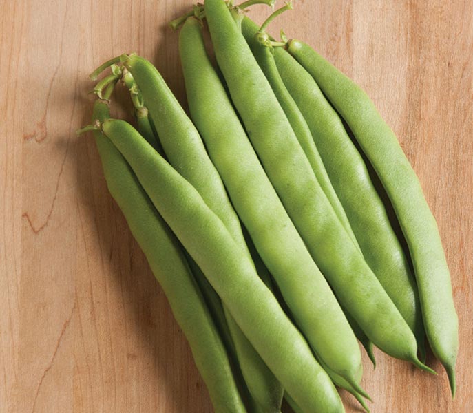 Organic fresh beans, for Cooking, Packaging Type : Jute Bag, Net Bag