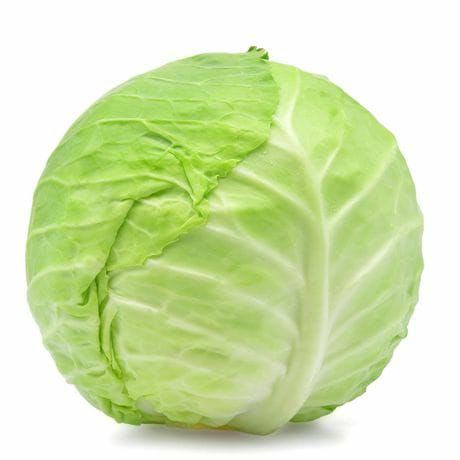 Organic Fresh Cabbage, for Pesticide Free