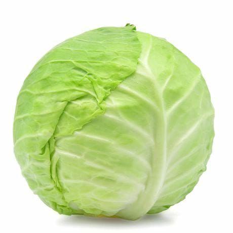 fresh cabbage