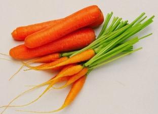 Natural Fresh Carrot, for Juice, Pickle, Snacks, Packaging Type : Jute Sack, PP Bags