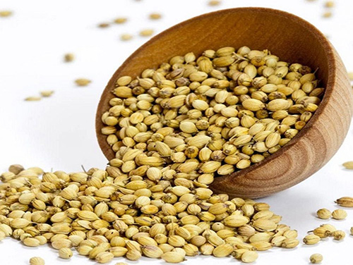 Organic coriander seeds, for Agriculture, Cooking, Food, Medicinal, Certification : FSSAI