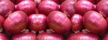 fresh red onion