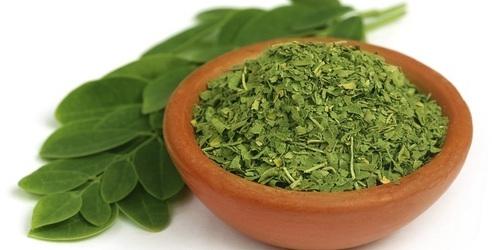 Organic Dried Green Moringa Leaves, for Cosmetics, Medicine, Feature : Insect Free, Nice Aroma