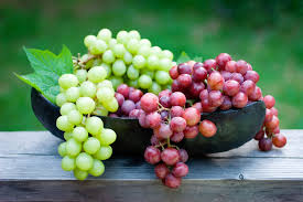 Organic fresh grapes, Shelf Life : 0-3days