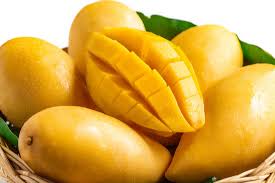 Organic Fresh Mango,fresh mango, for Direct Consumption, Food Processing, Juice Making, Variety : Alphonso