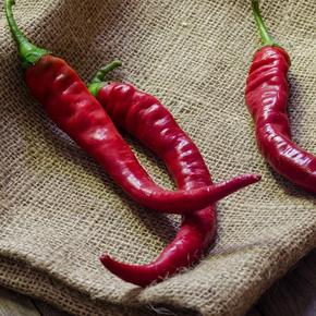Whole Red Chilli, for Food, Making Pickles, Taste : Spicy