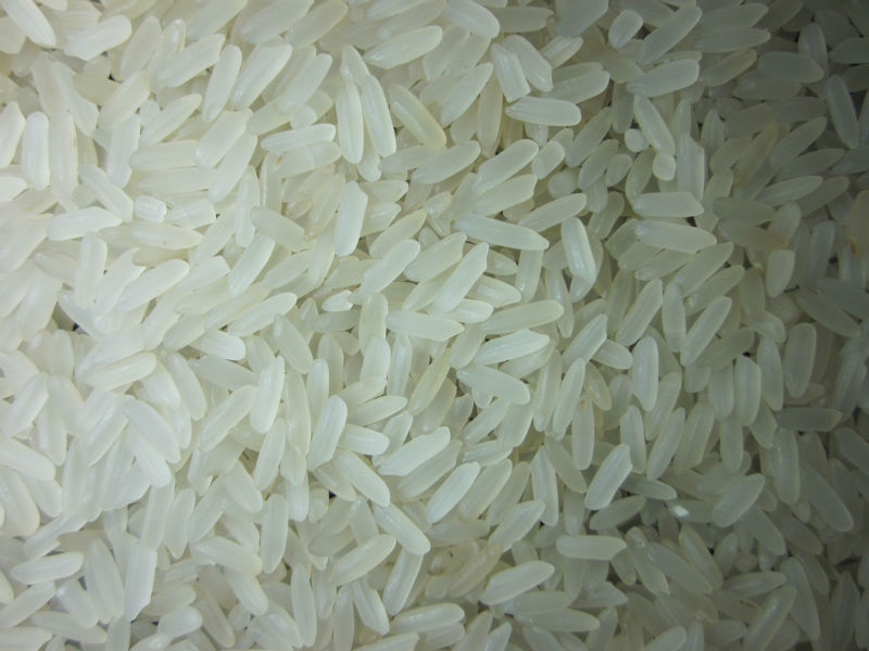 Organic Short Grain White Rice, Packaging Type : 10kg, 2kg, 5kg