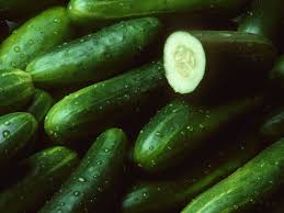 Organic Green Cucumber, Packaging Type : Plastic Bag