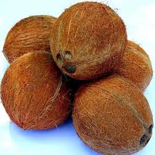 Organic Fully Husked Coconut, Color : Brown