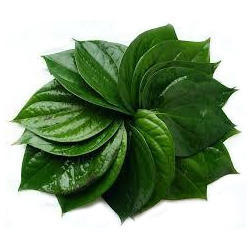 Fresh Green Betel Leaves, Feature : Improves digestion