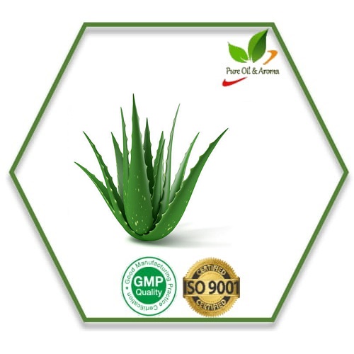 Aloe Vera Oil, Supply Type : OEM/ODM