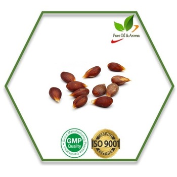 Apple Seed Carrier Oil, Certification : GMP, MSDS, ISO, GMP, COA, MSD