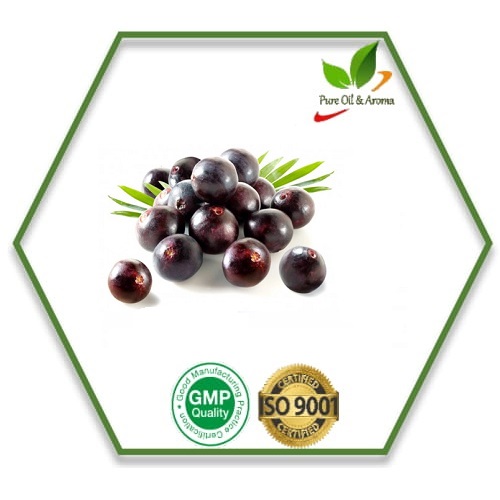 Laurel berry Essential Oil