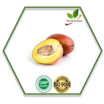 Mango Seed Carrier Oil