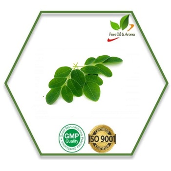 Moringa Carrier Oil, Supply Type : OEM/ODM