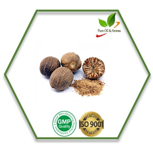 Root Nutmeg Essential Oil, Certification : GMP, MSDS, COA, ISO, WHO-GMP