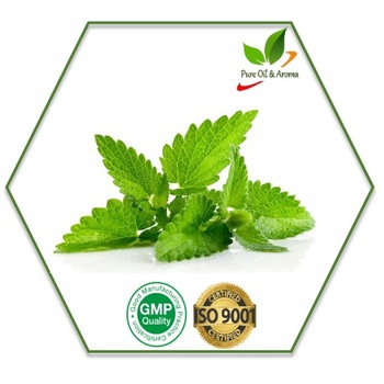 Peppermint essential oil, Supply Type : OEM/ODM