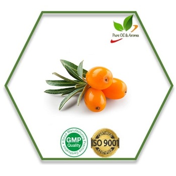 Sea buckthorn berry oil, Certification : GMP, MSDS, ISO, GMP, COA, MSD