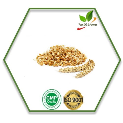 Wheat Germ Oil