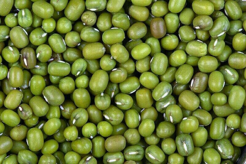 Green Mung Bean, Packaging Type : Jute Bag, Plastic Container