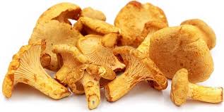 Dried Golden Mushroom