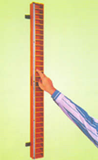 Shoulder Abduction Ladder